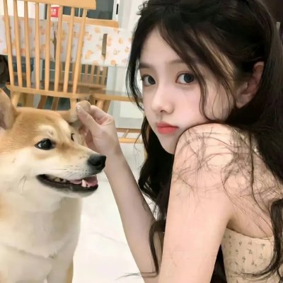 北风和太阳的法庭